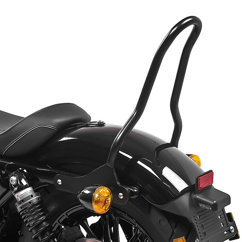 Sissy bar compatibil cu Harley Davidson Sportster 04-20