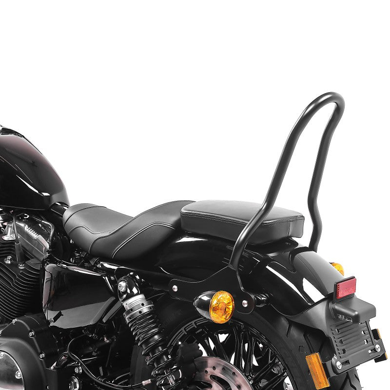 Sissy bar compatibil cu Harley Davidson Sportster 04-20