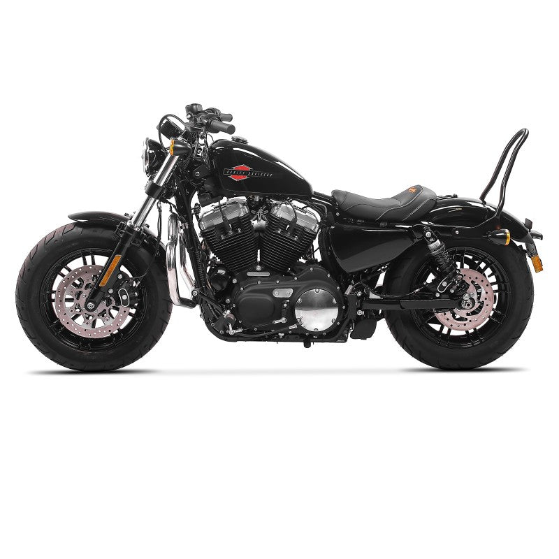 Sissy bar compatibil cu Harley Davidson Sportster 04-20