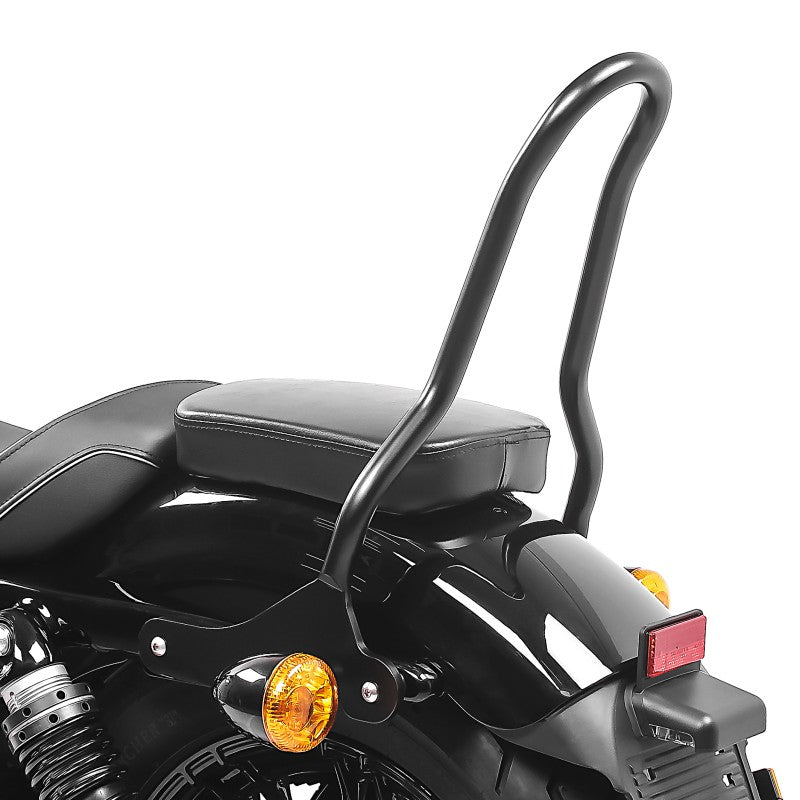 Sissy bar compatibil cu Harley Davidson Sportster 04-20