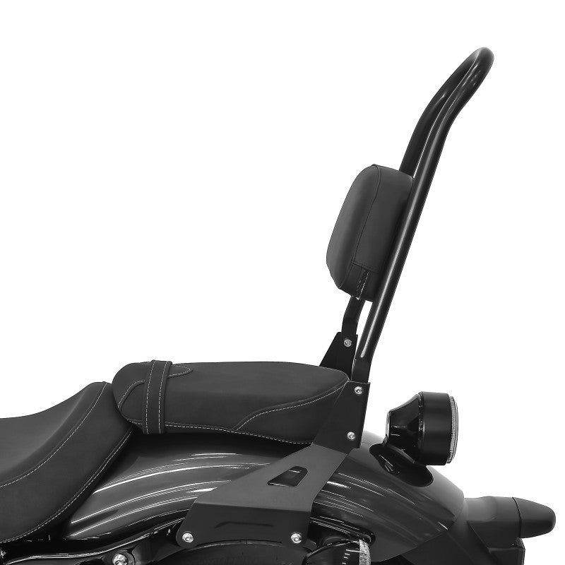 Sissy Bar CS L+Portbagaj Indian Sc/ Sixty 15-23